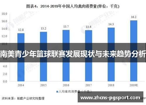 南美青少年篮球联赛发展现状与未来趋势分析