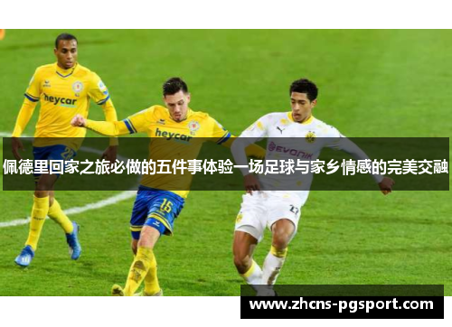 佩德里回家之旅必做的五件事体验一场足球与家乡情感的完美交融