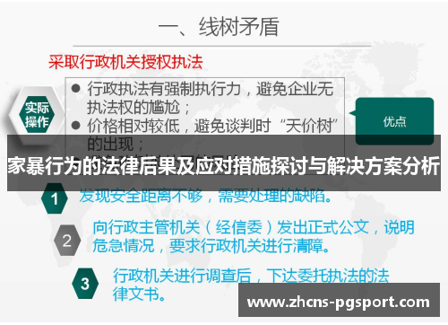 家暴行为的法律后果及应对措施探讨与解决方案分析