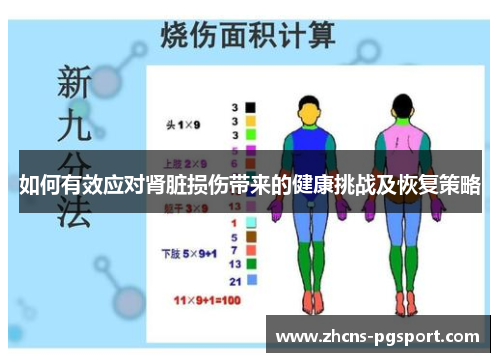 如何有效应对肾脏损伤带来的健康挑战及恢复策略