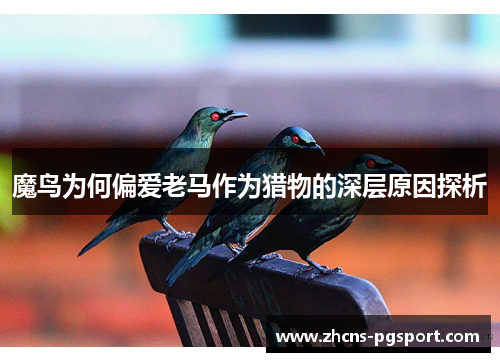 魔鸟为何偏爱老马作为猎物的深层原因探析