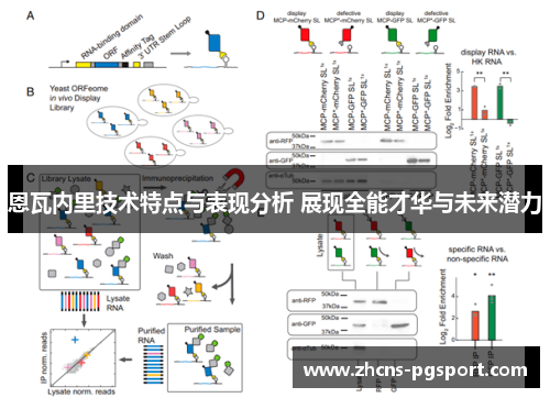 恩瓦内里技术特点与表现分析 展现全能才华与未来潜力